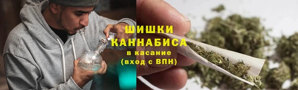 spice Аркадак