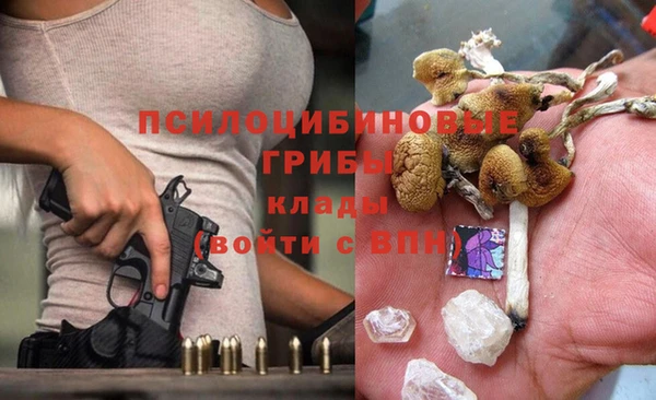 spice Аркадак