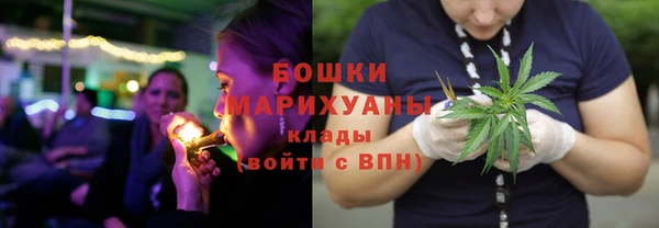 spice Аркадак