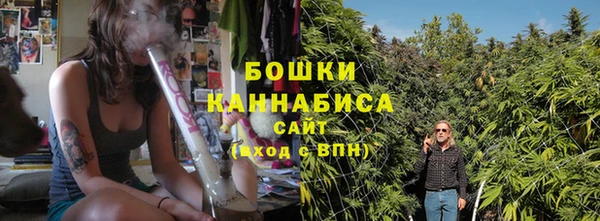 spice Аркадак