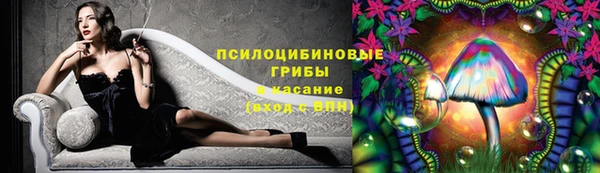 spice Аркадак